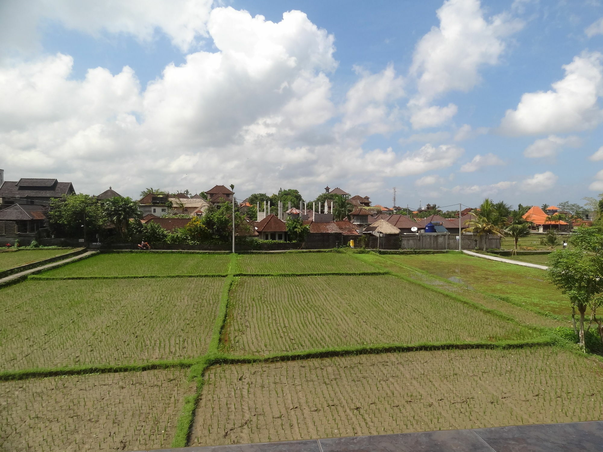 Hibiscus Cottages Ubud  Luaran gambar